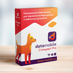 ПО DataMobile, версия Стандарт Pro в Орле