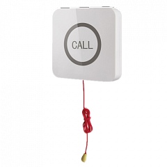 Кнопка вызова iBells 310S влагозащищенная со шнуром для МГН в Орле
